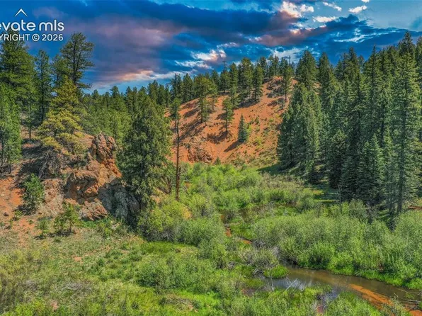 29545 State Highway 67, Woodland Park, CO 80863