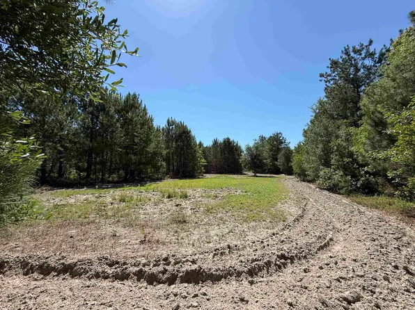 43 Acres - 5432 Juneburn Rd., Manning, SC 29102