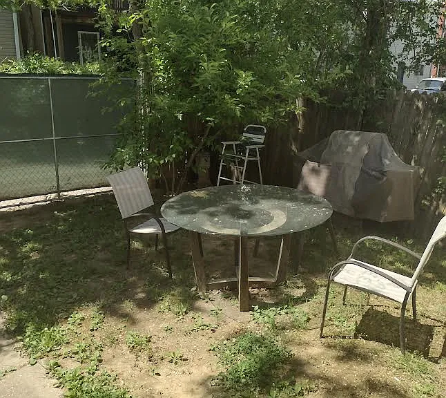 Shared back yard