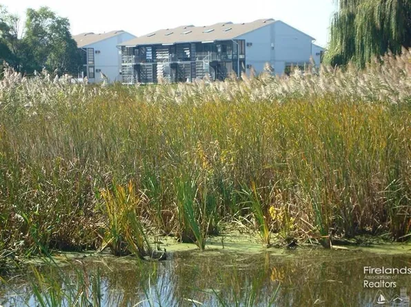 6429 Teal Bnd, Oak Harbor, OH 43449