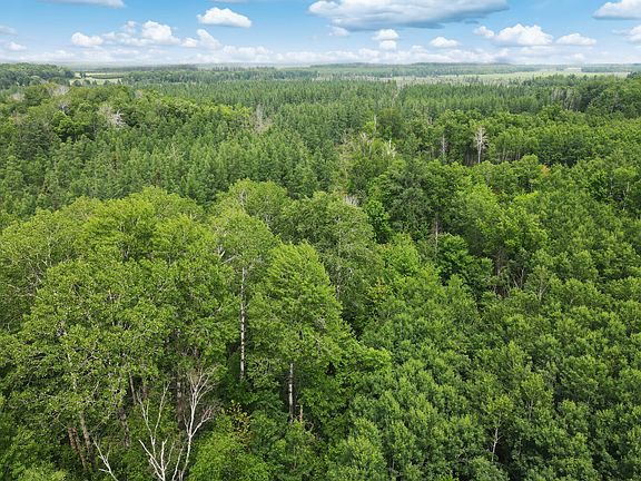 Private Hunting Getaway