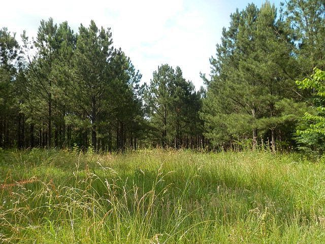 2nd image of 500 Rum Woods Way