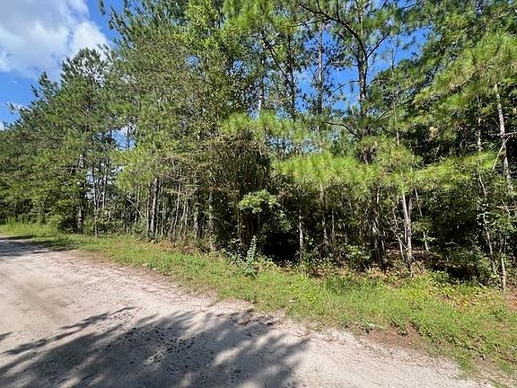 5th image of 16653 Blountstown Hwy