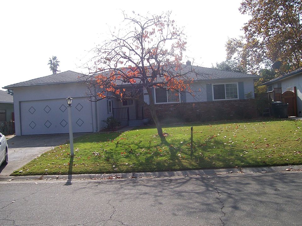Persimmon Tree in Front