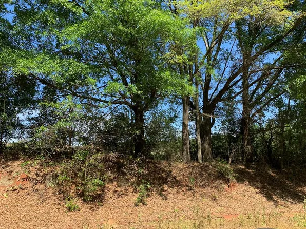 24 County Road 3319, Troy, AL 36079