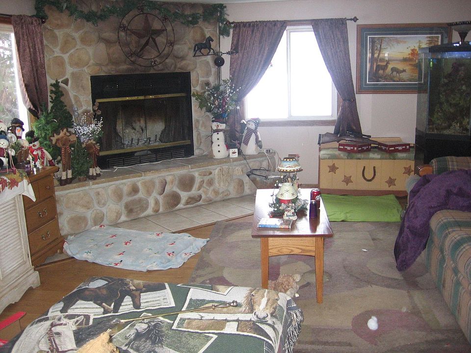 Living Room fireplace