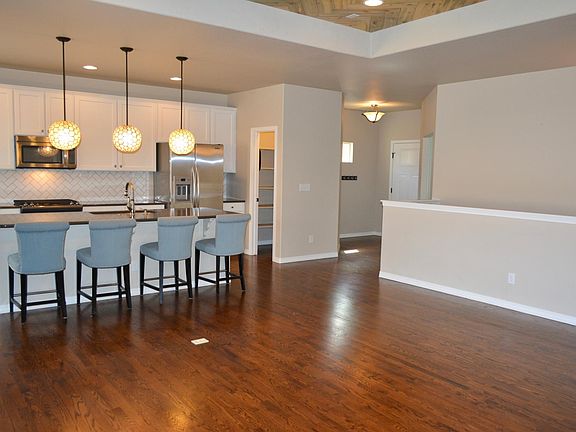 Great pantry, beetle kills herringbone inset Capiz shell pendants