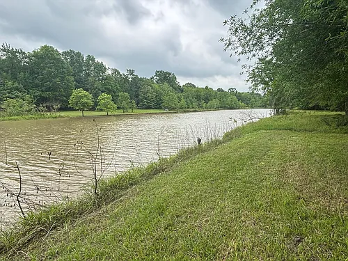 503 Sour Lake Cir Photo 1