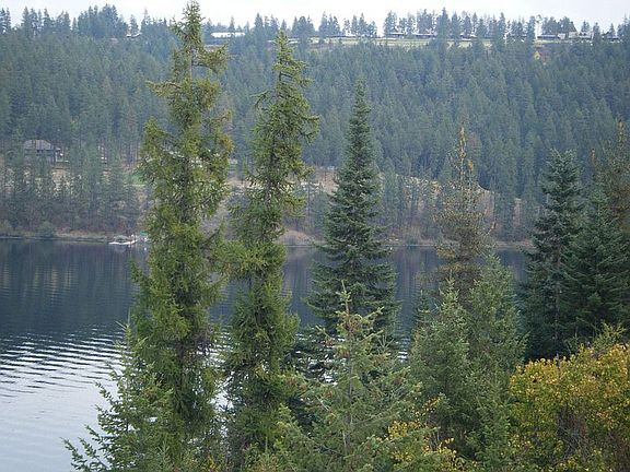 Gozzer Ranch on Hilltop