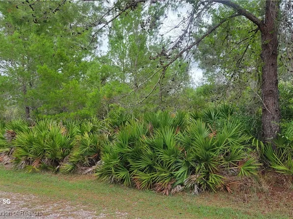 3217 Savannah Sparrow Ave, Lake Placid, FL 33852