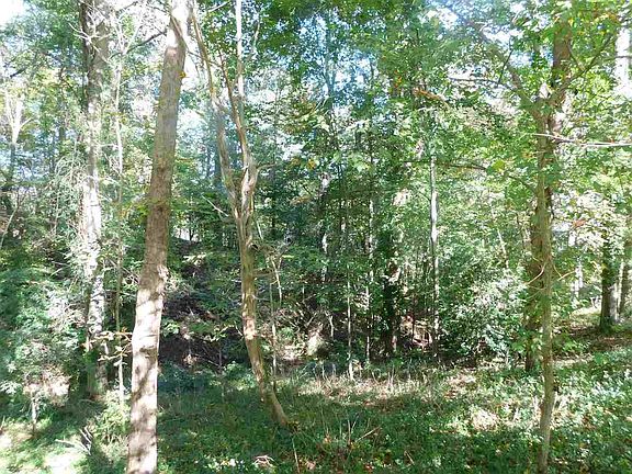 4th image of LOT 3 Old Bridge Ln Lot 3