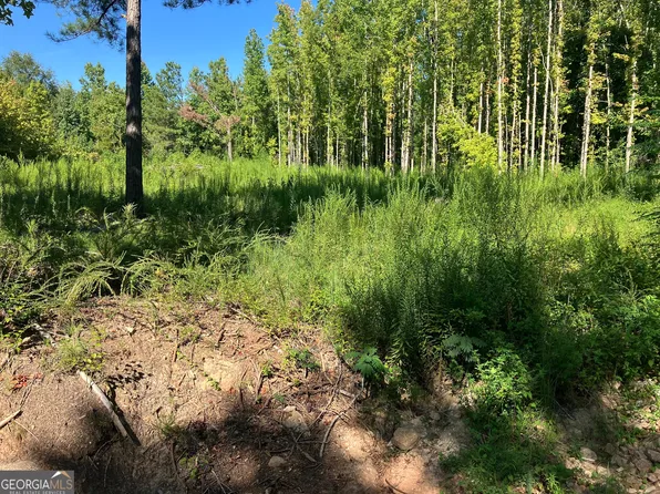 0 Highway 100, Greenville, GA 30222