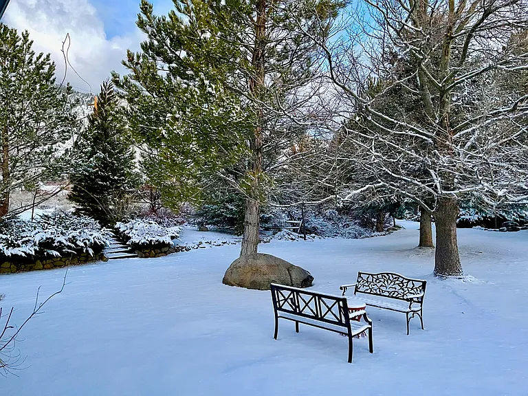 Winter Wonderland