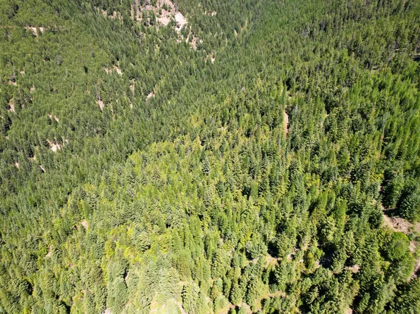TRACT 2 Pardee Flat Rd, Superior, MT 59872