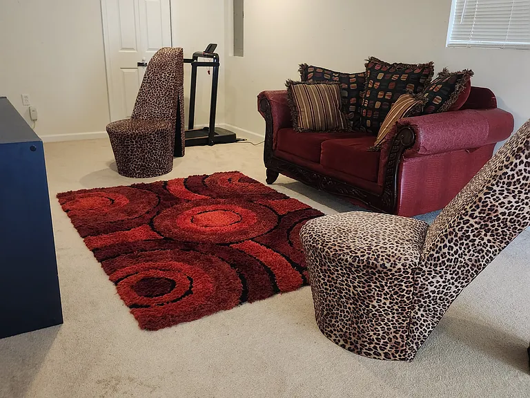 11051 Birchtree Ln #BASEMENT — Photo 8