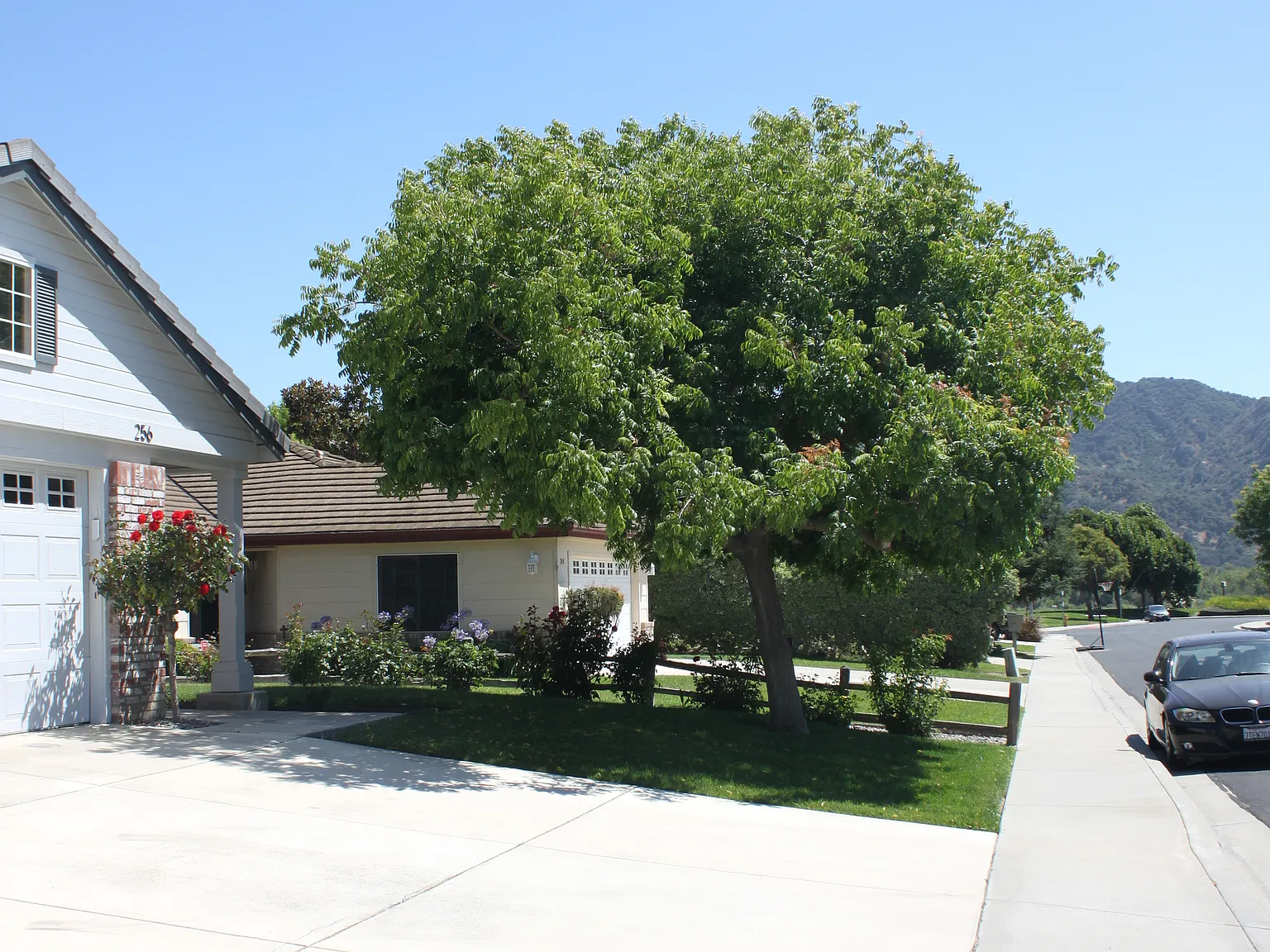 4 bed, 1938 sqft, $4,600 — Photo 2