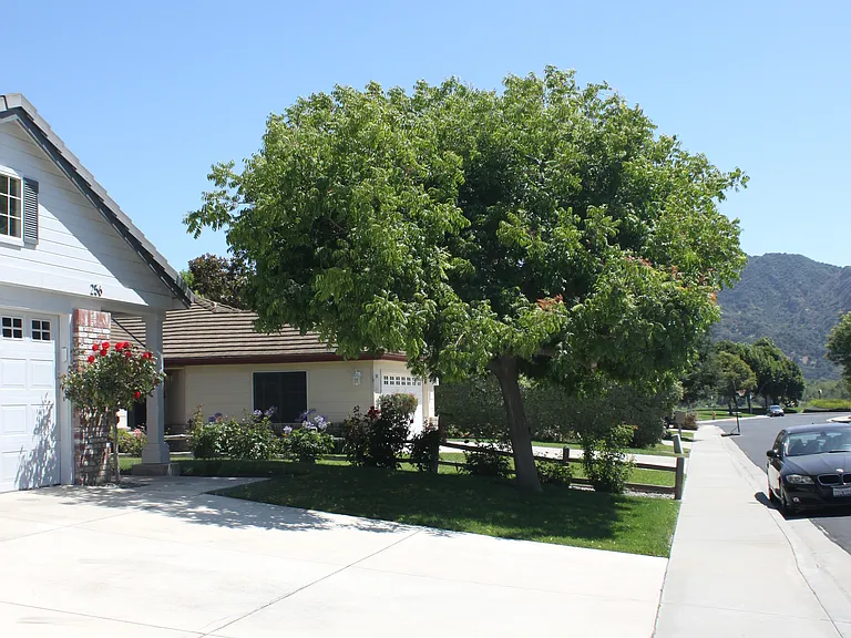 256 Valley Dairy Rd — Photo 2