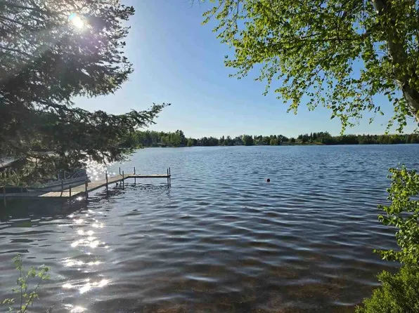 15966 Lakeview Dr, Wolverine, MI 49799