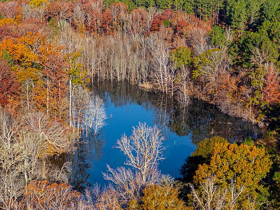 30th image of this home