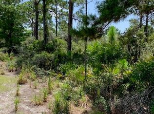 333 Brant Ave, Sebring, FL 33870