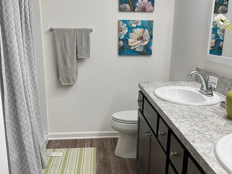 primary ensuite bath