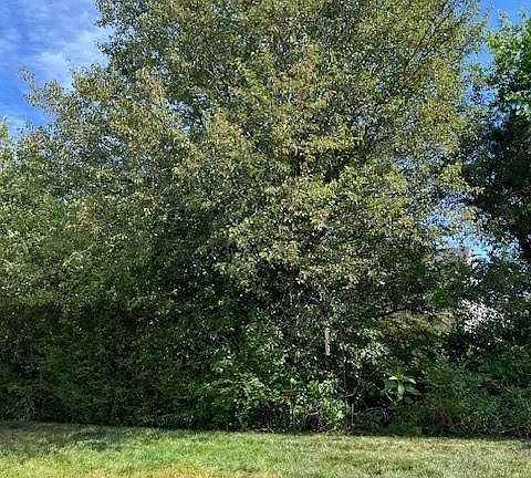 3rd image of 11216 White Stag Dr