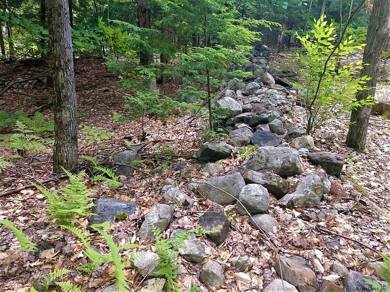 2nd image of 0 LIDDLE HARRIS Road
