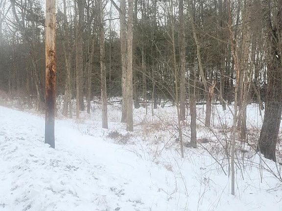 3rd image of 0 Brush Creek Rd