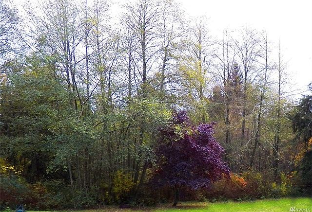 2nd image of Camano Ridge Rd