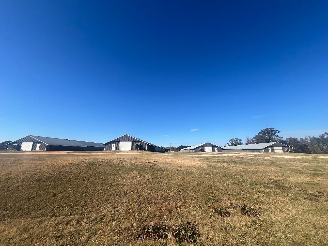 24567 County Road 62, Dozier, AL 36028 | Zillow
