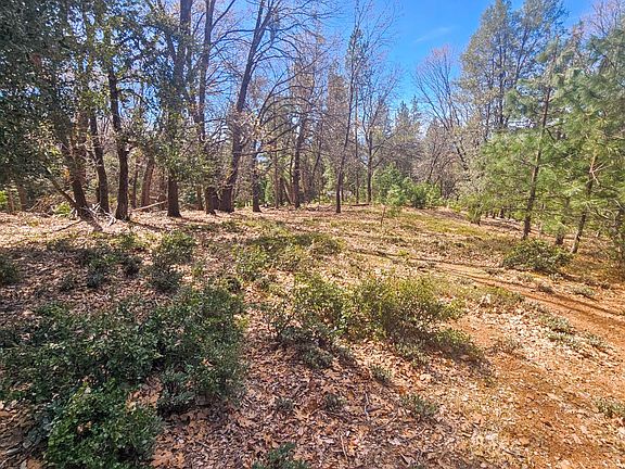 3rd image of 23470 Pack Trail Rd