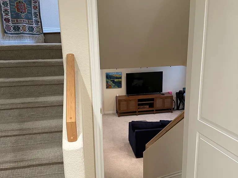 Entertainment Room