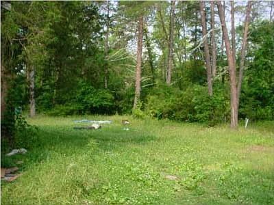2nd image of 8294 S Highway 341