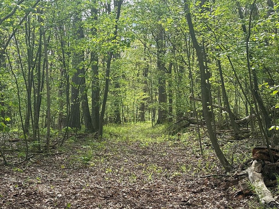 1st image of Dishong Mountain Rd