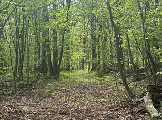 Dishong Mountain Rd, Johnstown, PA 15906