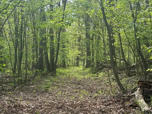 Dishong Mountain Rd, Johnstown, PA 15906