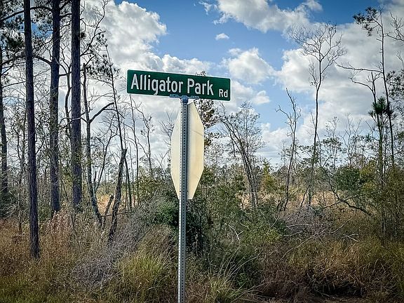 Compass South Land Sales Louisiana Alligator Park Road 3