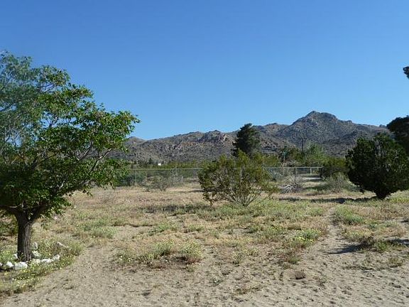 Large fenced yard, perfect for dogs to run.