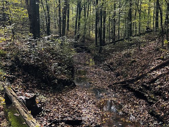 5th image of 0 Brown Ln