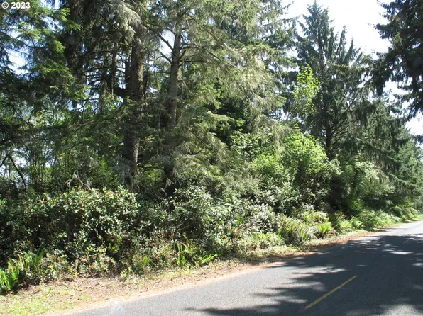 Stackpole Rd, Oysterville, WA 98641
