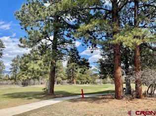 170 Puma Ln, Ridgway, CO 81432