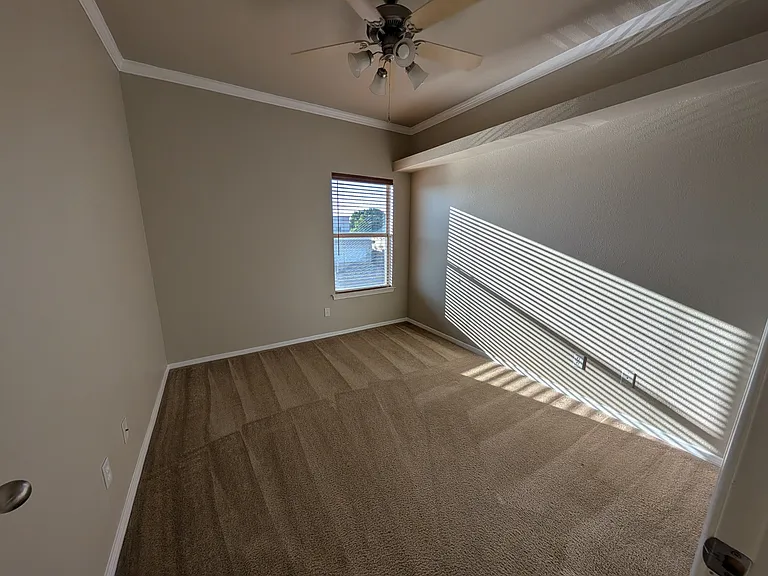 805 Bonnie Ct — Photo 18