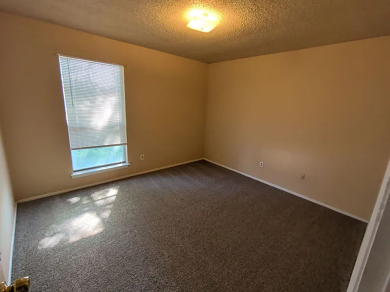 4702 Green Hollow Dr — Photo 10