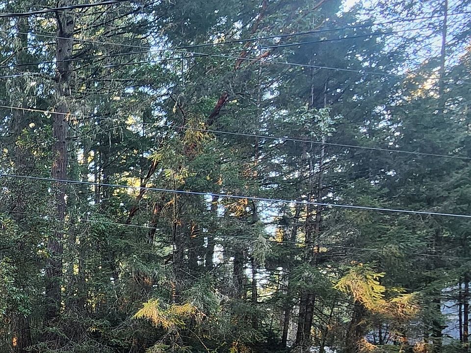 1st image of 9309 114th Ave. Ct.