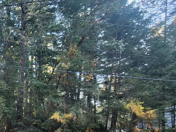 9309 114th Ave. Ct., Anderson Island, WA 98303