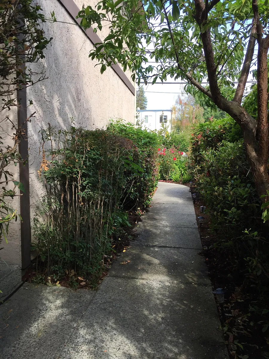 Building Photo - 521 Oak Grove Ave