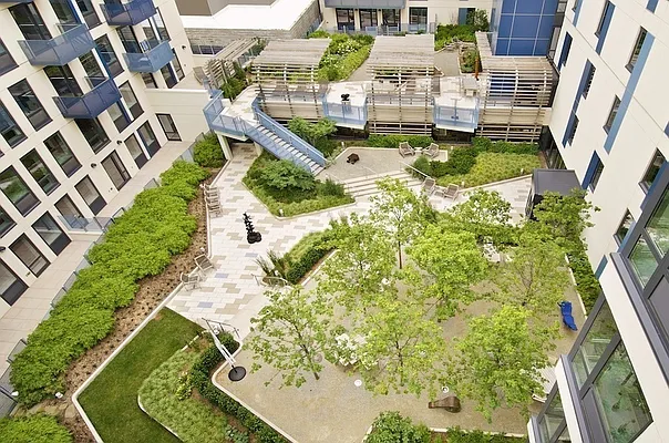 Rented by Blu Sky Realty And Management | media 56