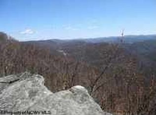3788 Birch Root Rd, Tunnelton, WV 26444