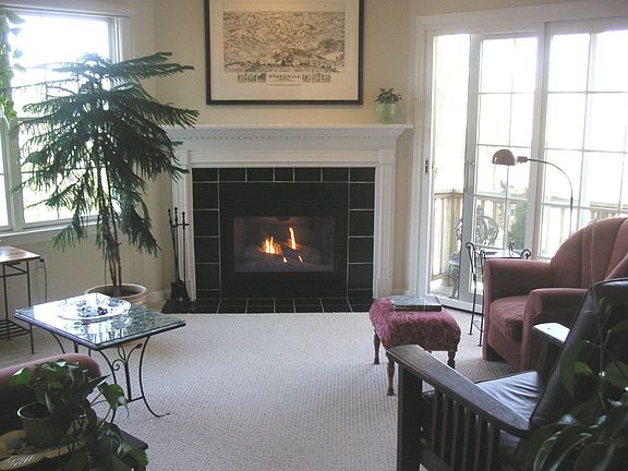 Gas Fireplace in Living Room
