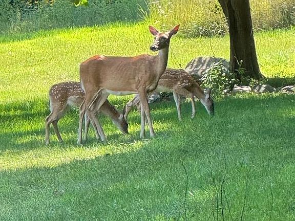 4th image of 2688 N Goldring Rd